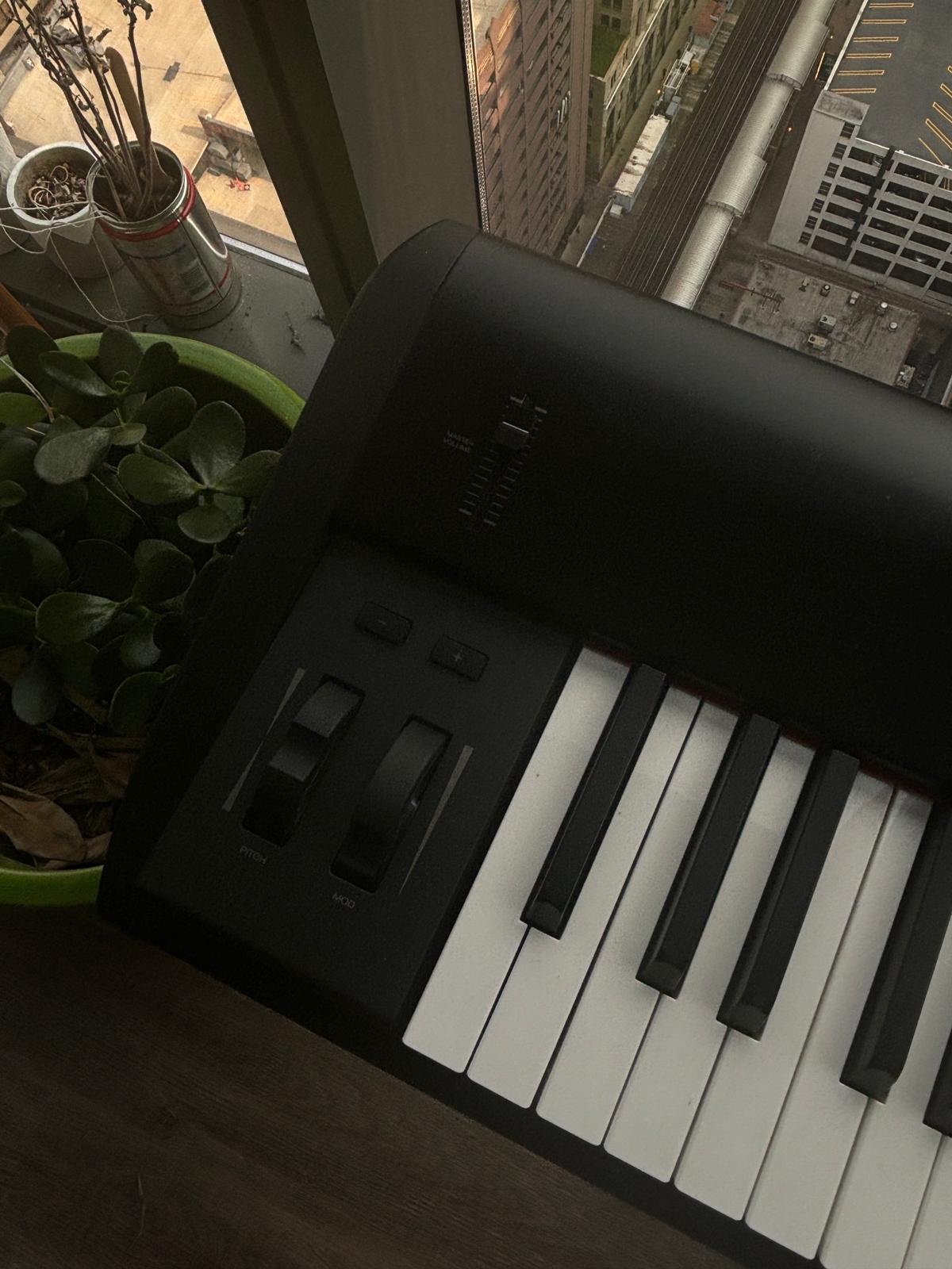 Keyboard M- Audio Hammer 88 - photo 4