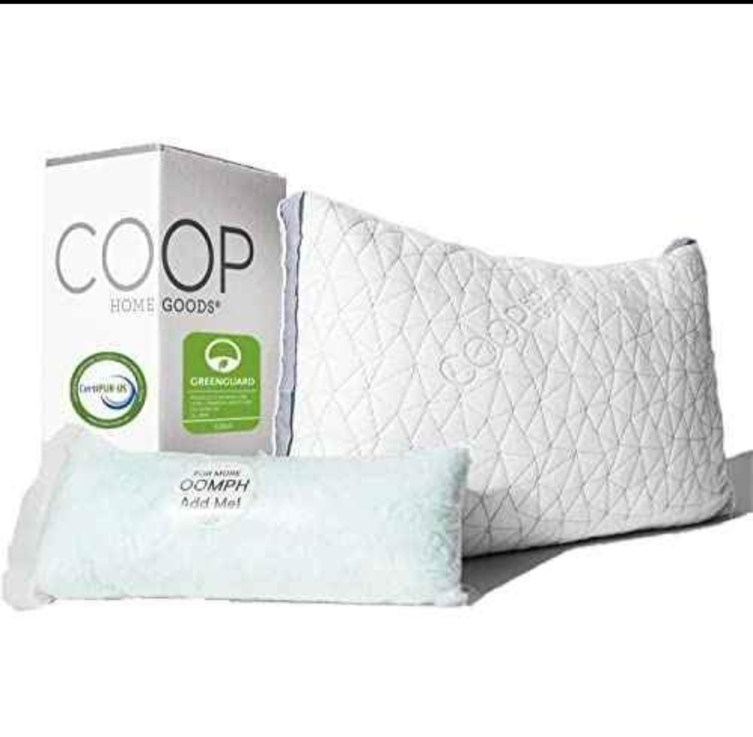 Coop Home Goods Eden King Sized Pillow