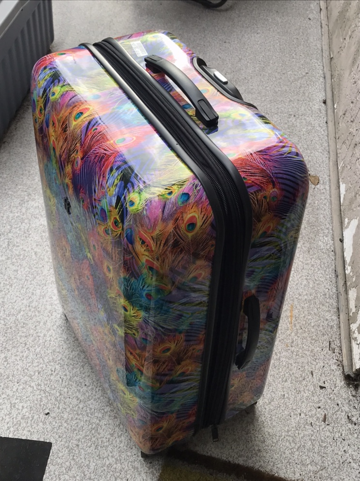 IT Suitcase [Peacock Design] - photo 3
