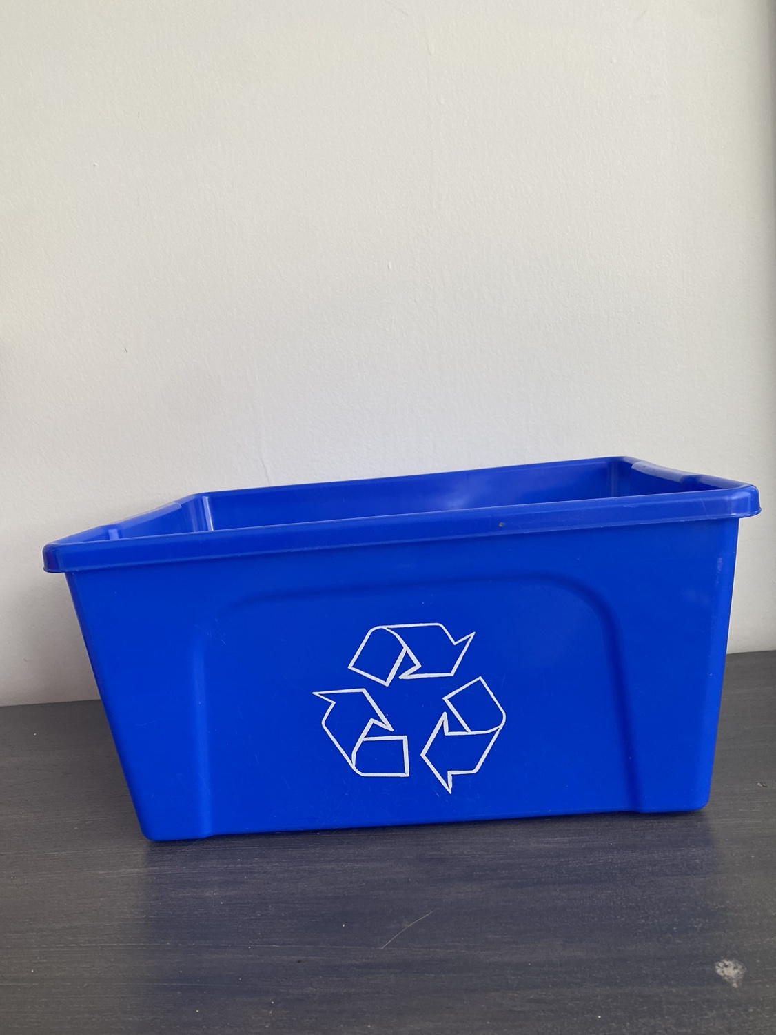 FREE small blue recycling bin