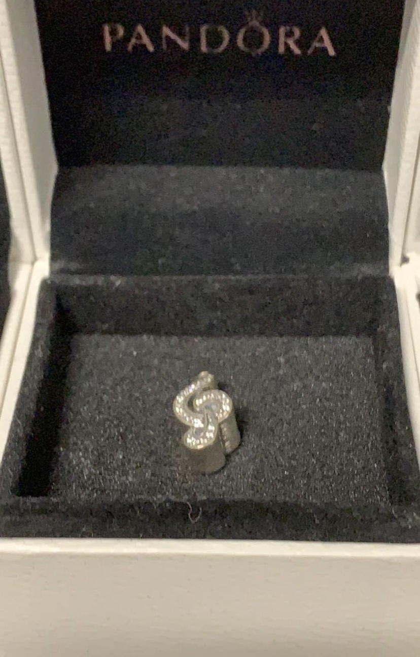 Pandora Charms . Jewelry. sterling silver image indicator(3)