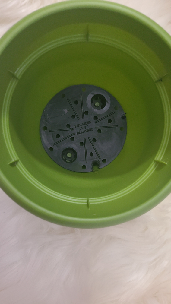 🪴 🌱 Green Plastic Flower Pot 🪴 🌱 image indicator(2)