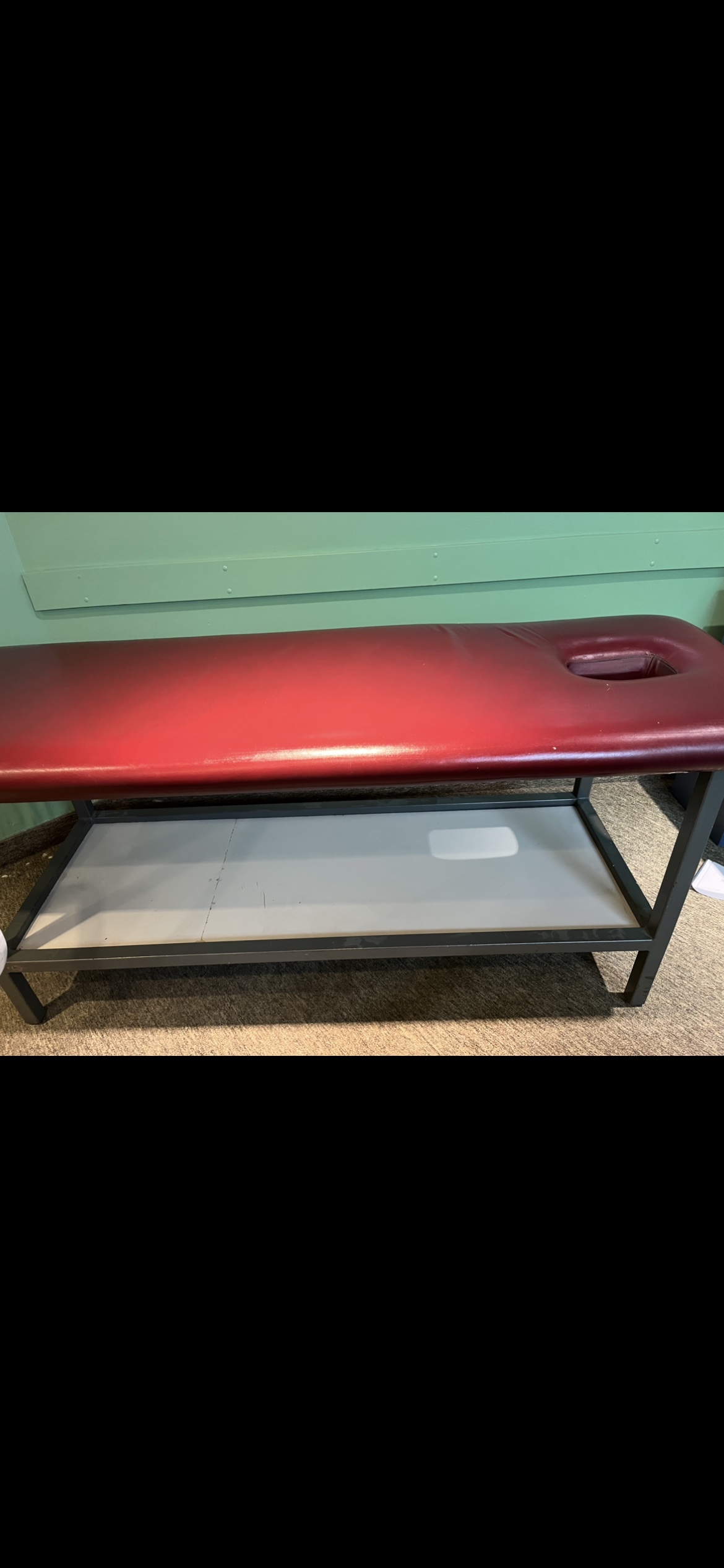 Physiotherapy/Massage Therapy table (price negotiable) image indicator(2)
