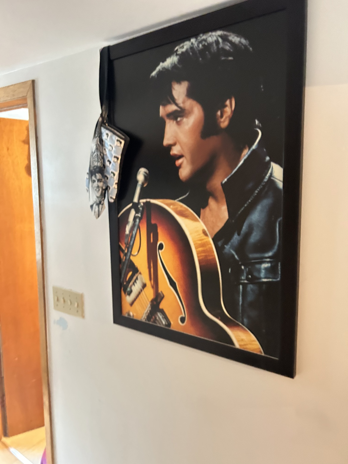 Elvis Presley Framed painting