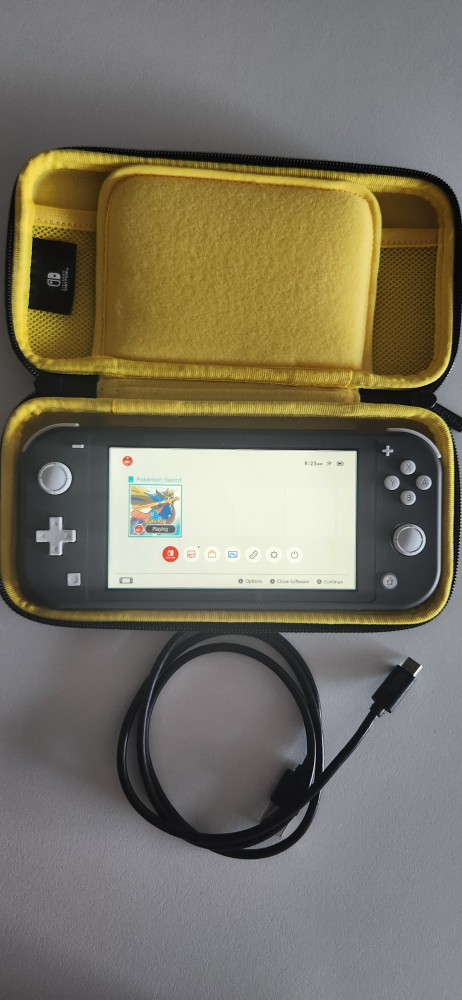 Nintendo Switch Lite grey with case