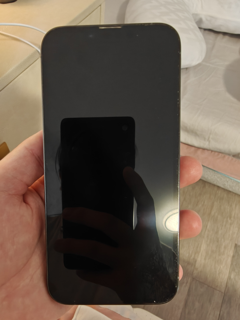 iPhone 13 pro  256G - photo 4