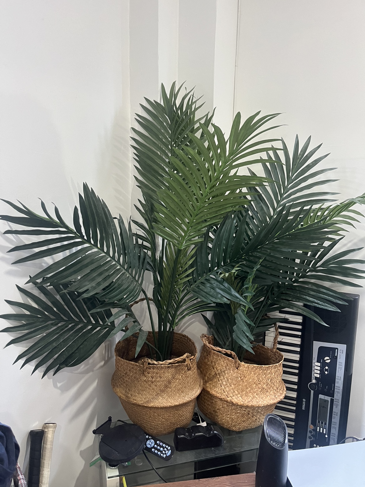 Two fake plants