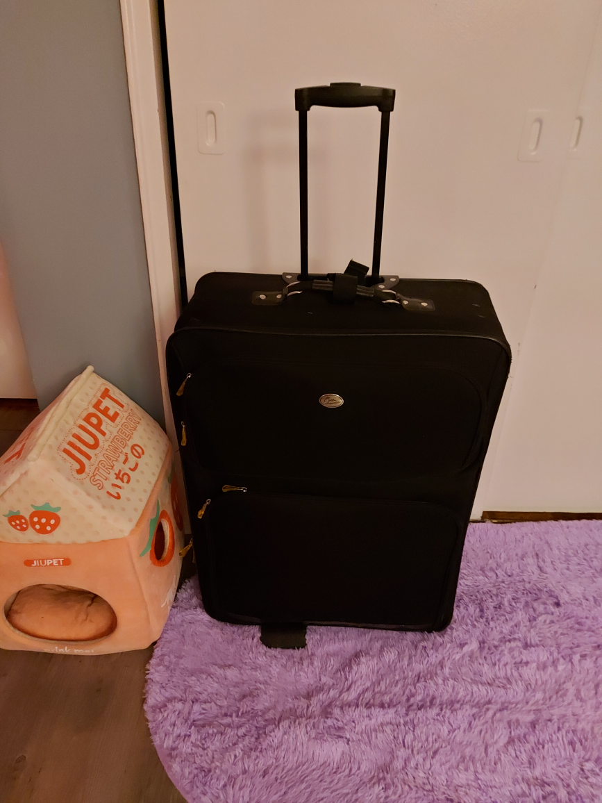 Large Travel Suitcase - photo 2