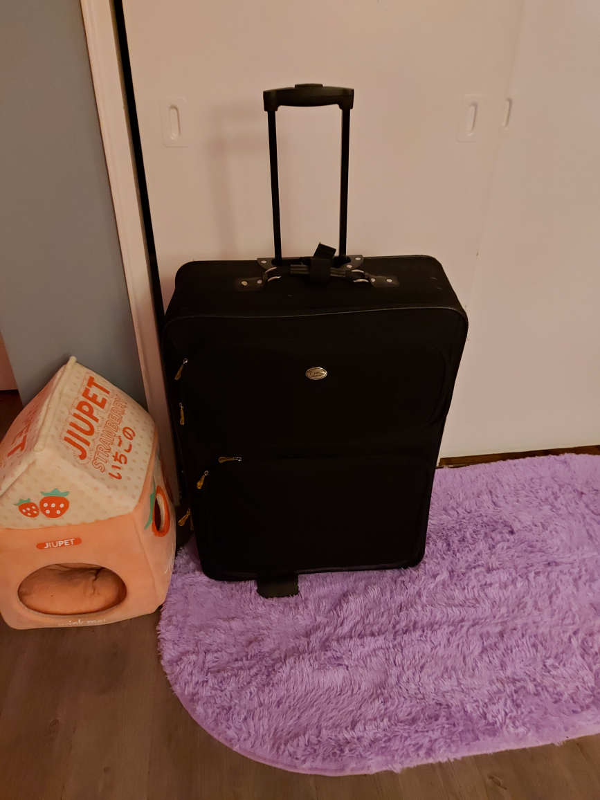 Large Travel Suitcase - photo 3