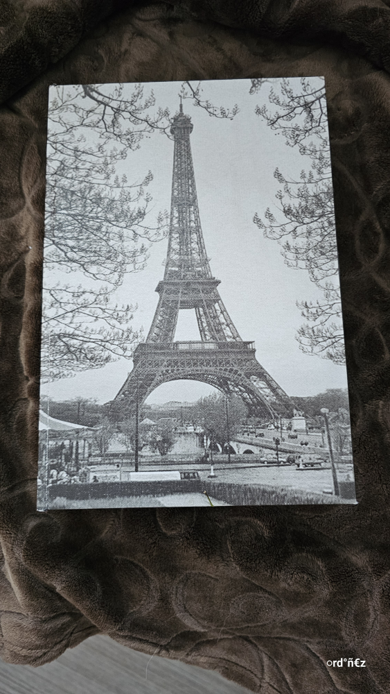 Eiffel Tower Book Box