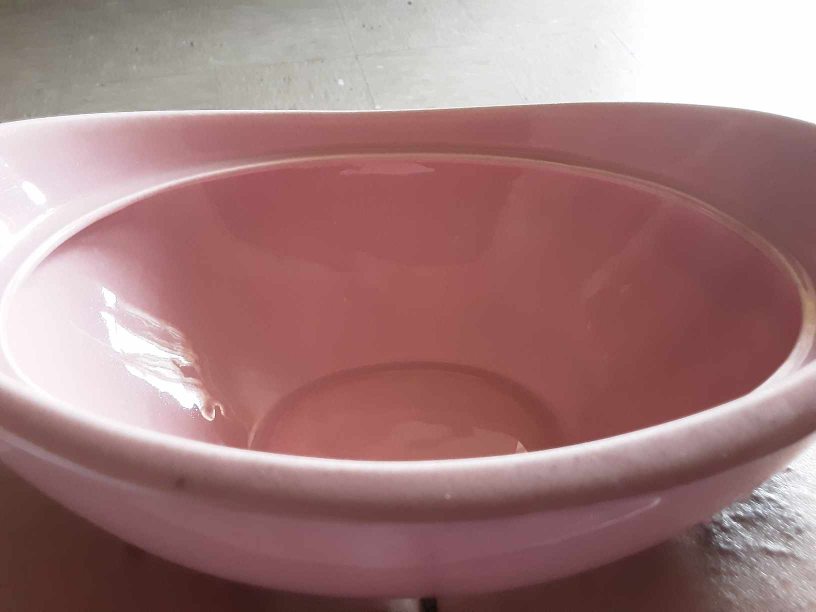 Pink Epicure Serving Dish D55N4🥕 image indicator(4)
