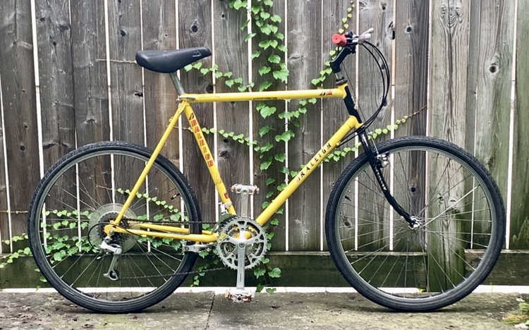 🤘NICE! TALL Sturdy Raleigh  18 speed vintage Bike. image indicator(8)