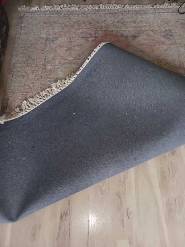 Area Rug - photo 2