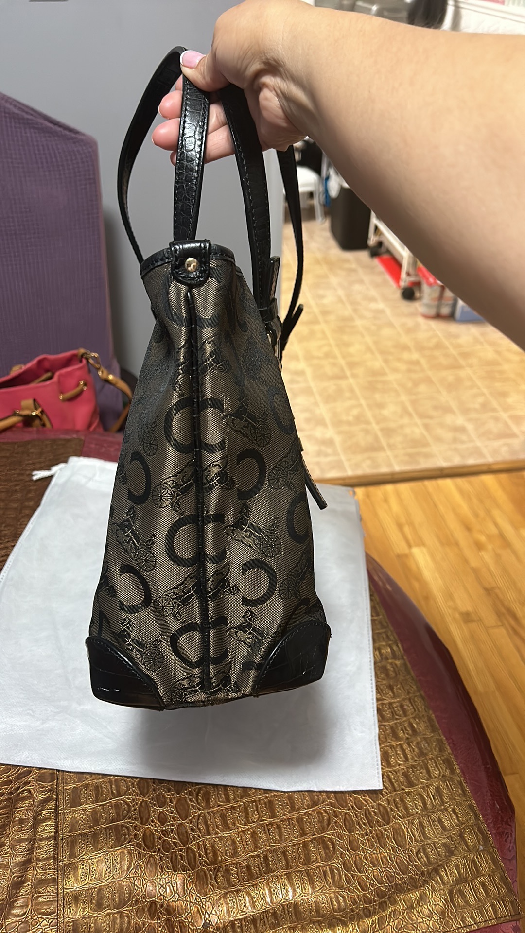 Authentic Celine Black Horse Carriage Leather Canvas image indicator(4)