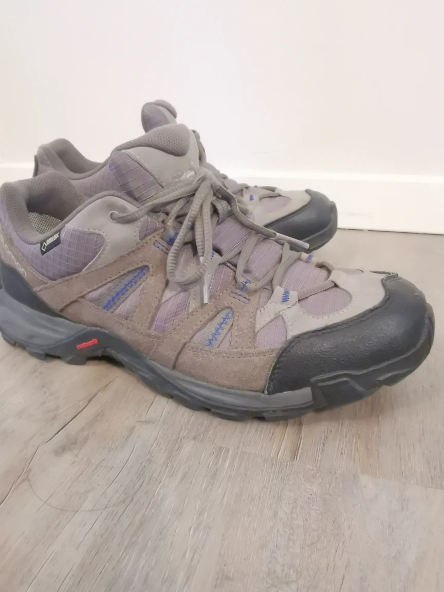 Salomon Hiking Shoes