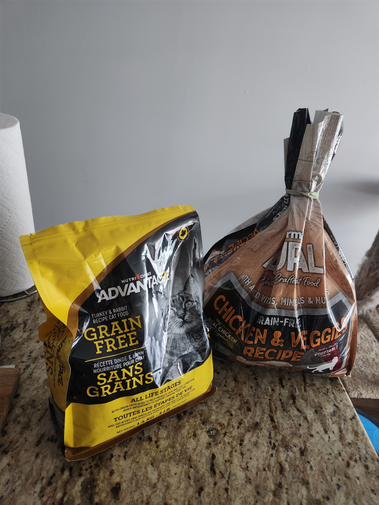Cat Food thumbnail