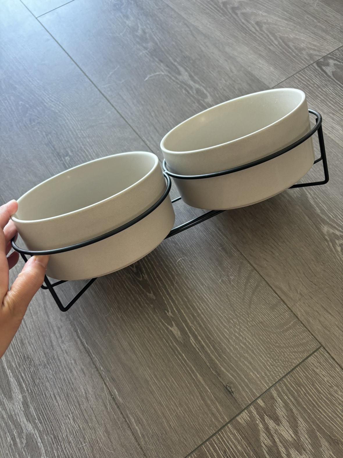 Dog bowl thumbnail