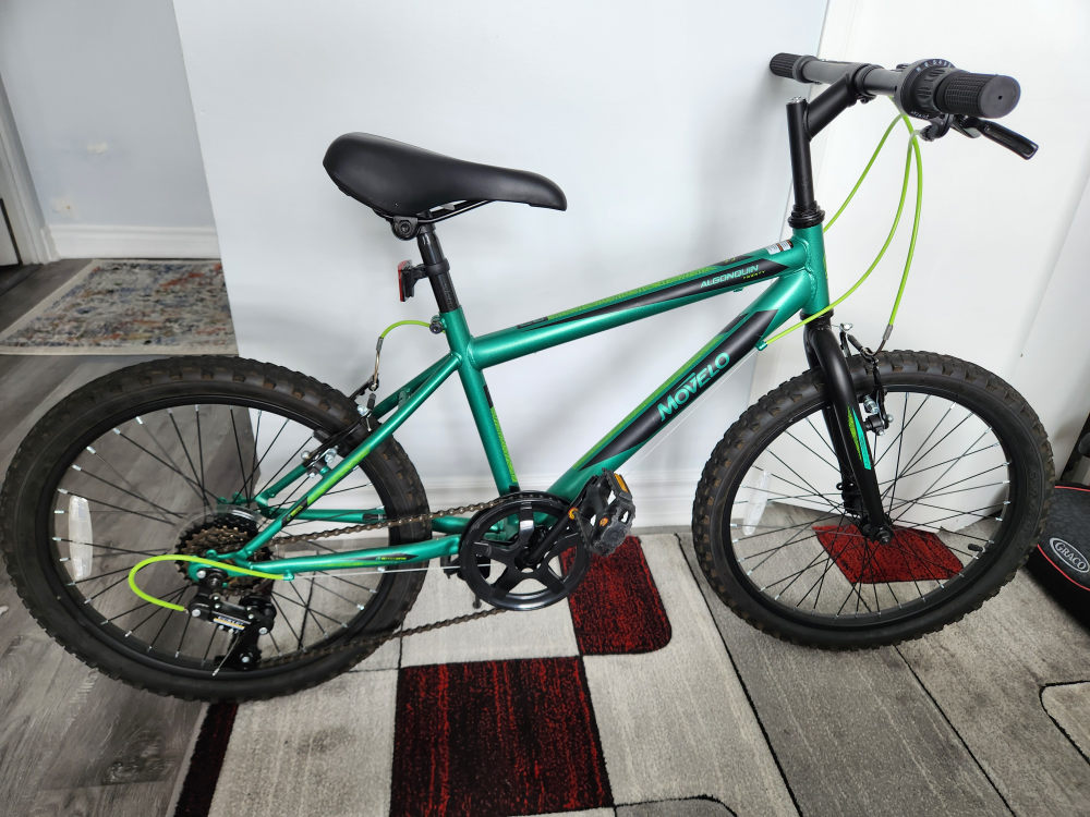 Moveolo Algonquin 20" Bike