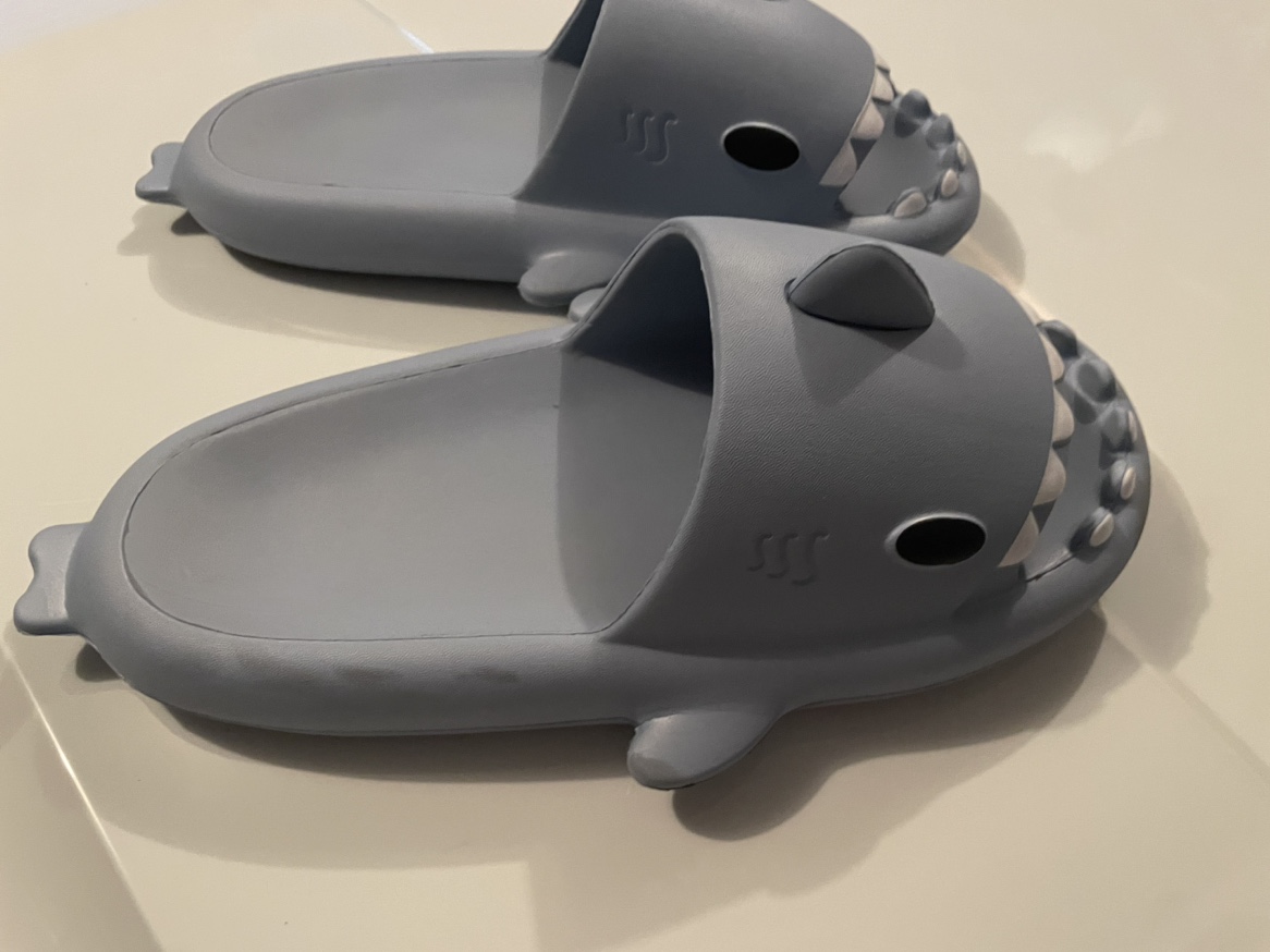 Shark slides - photo 3