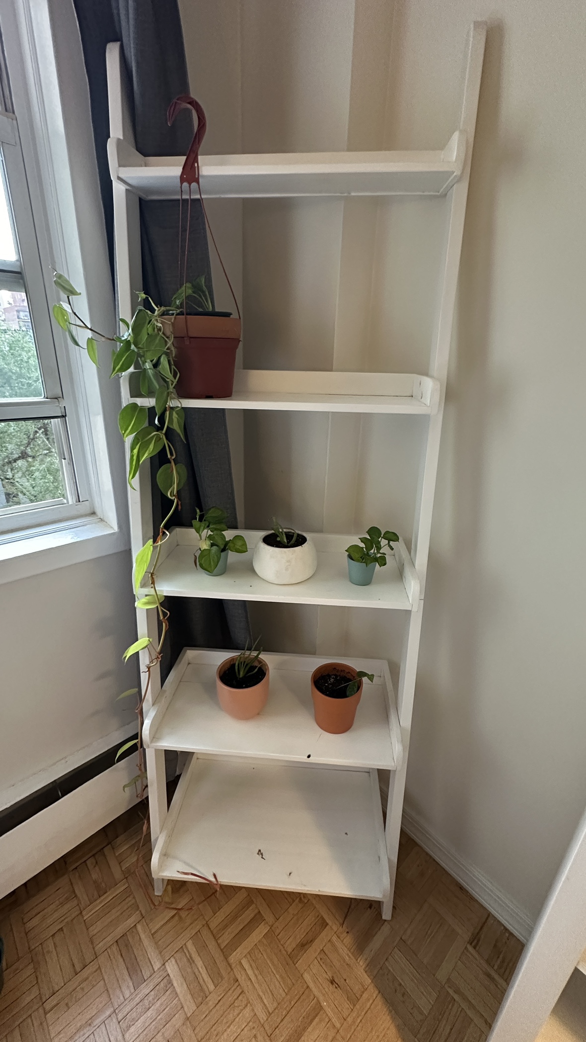 Plants and Pots with White Ladder Shelf