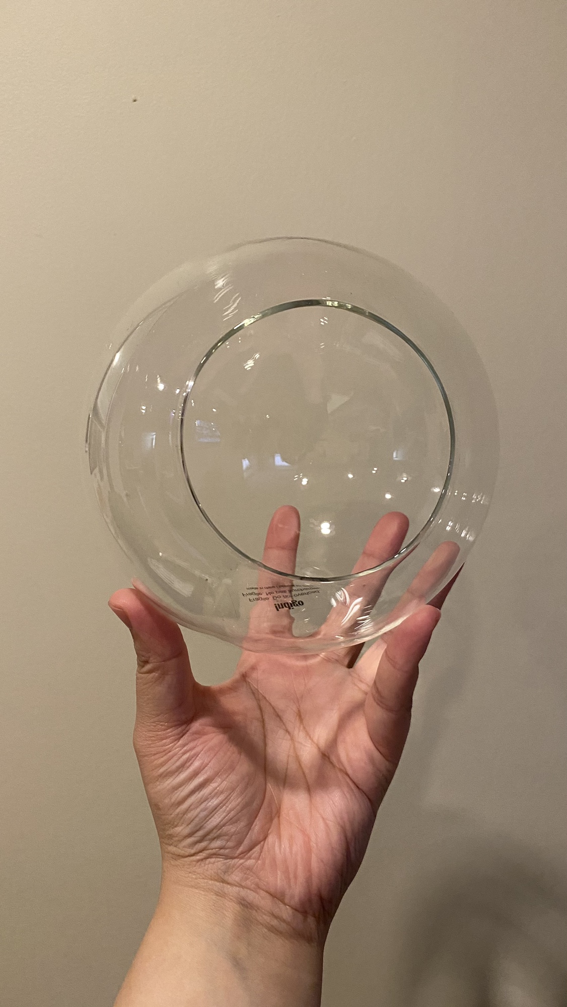 Indigo Sphere Tabletop Terrarium - photo 2