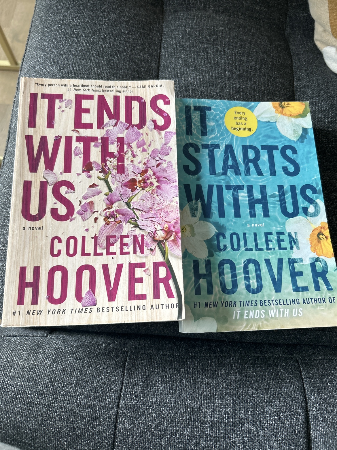 It Ends With Us Books thumbnail