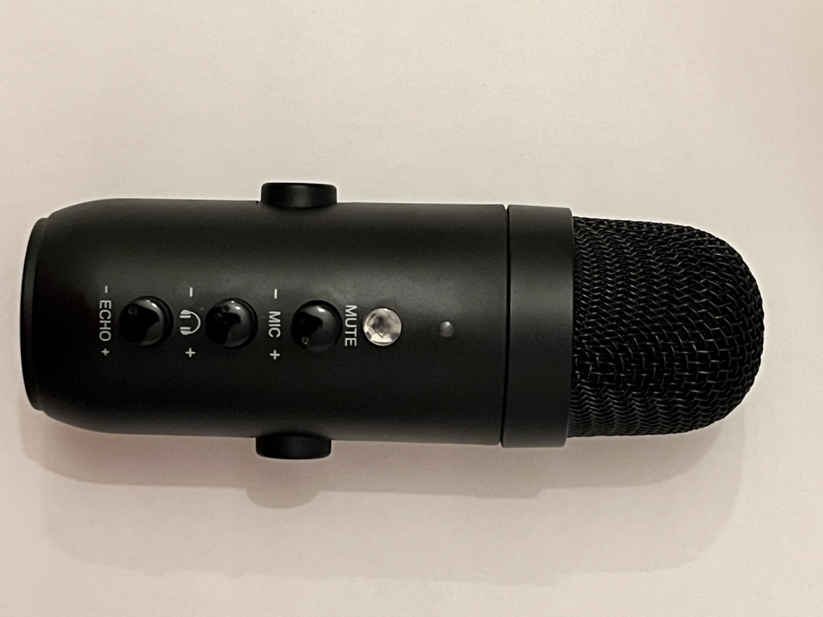 Microphone - photo 2