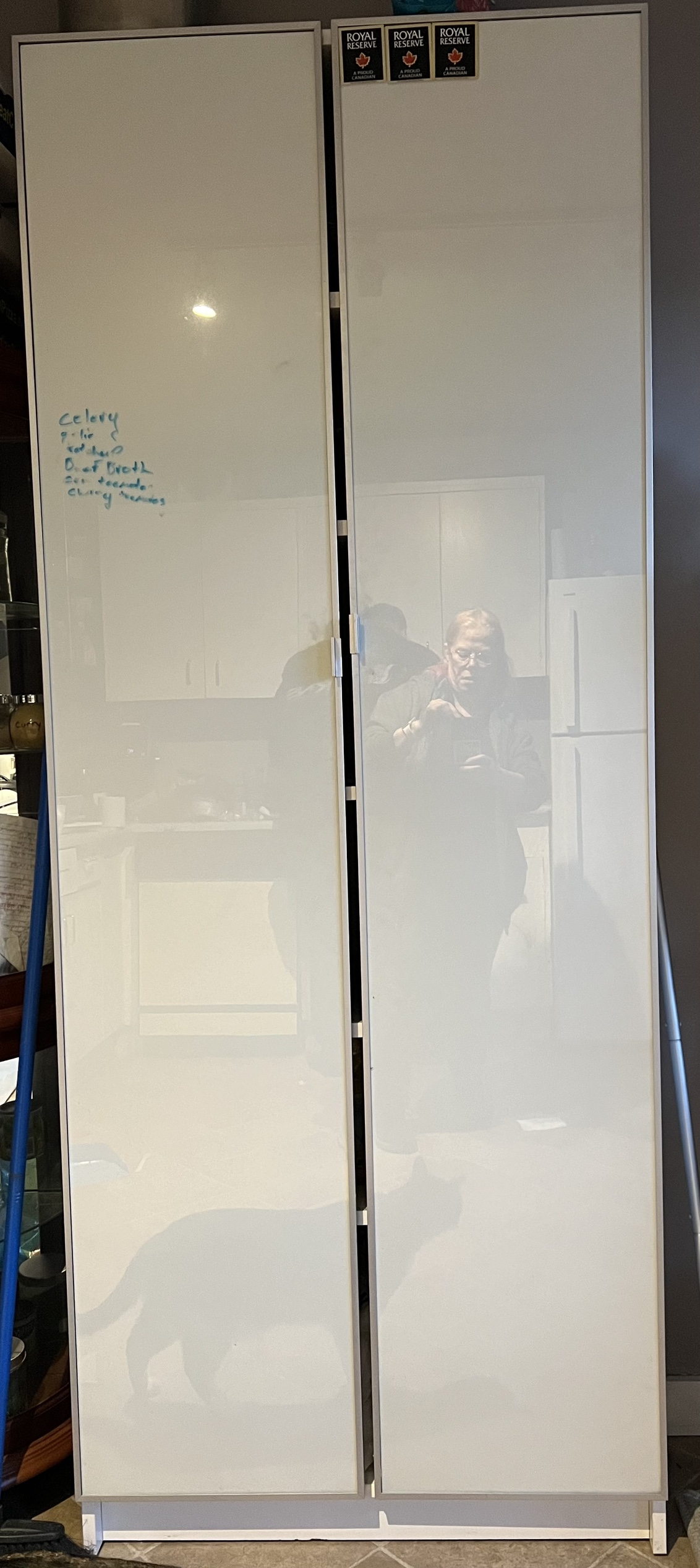 Whiteboard Doors cabinet