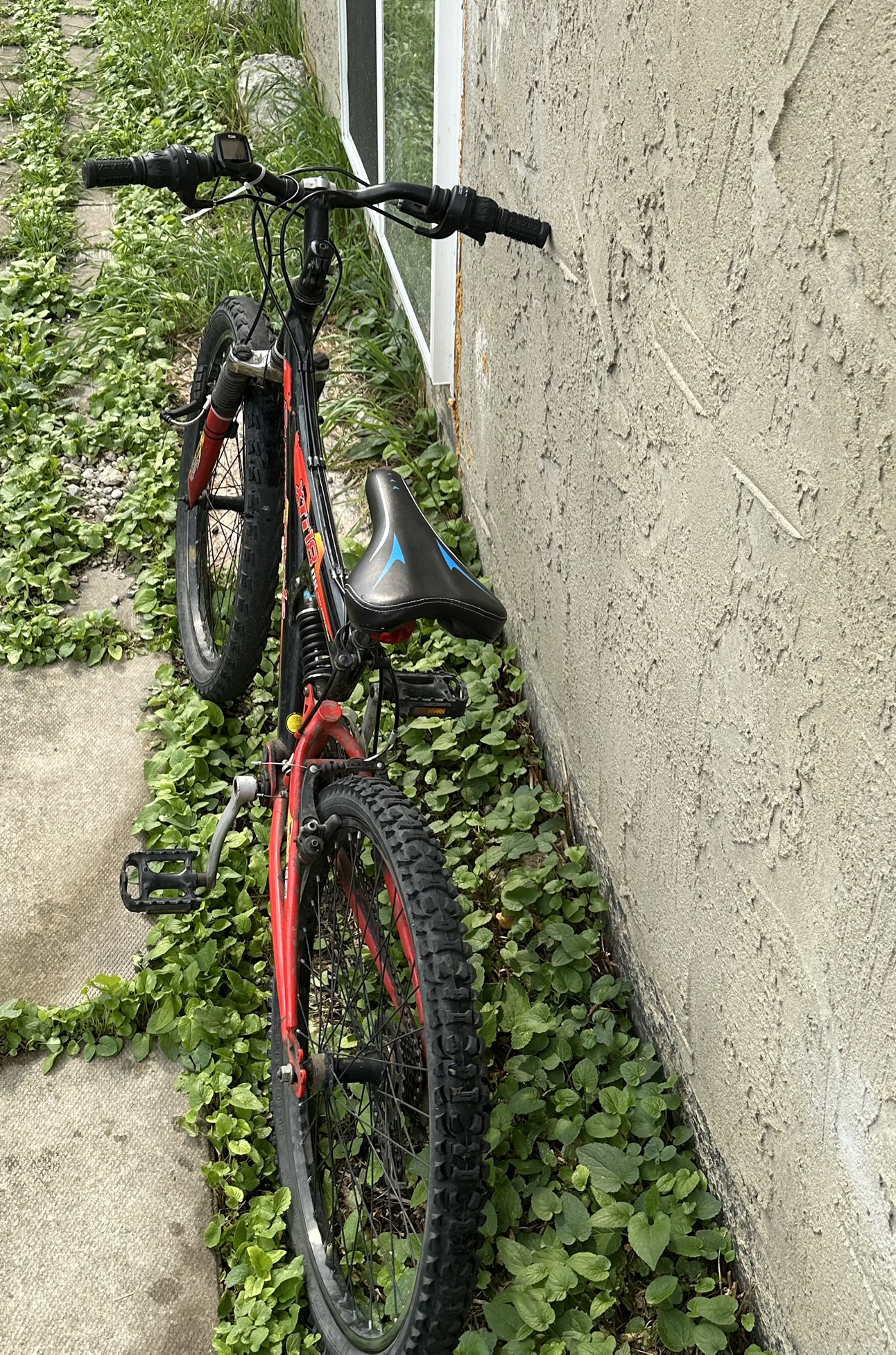 Bike for sale - photo 5