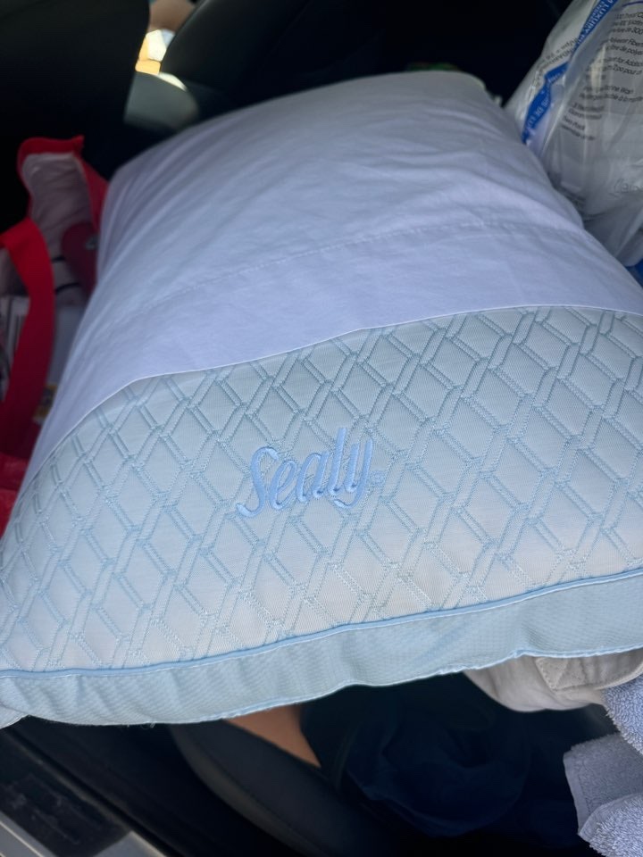 Sealy Pillow never used
