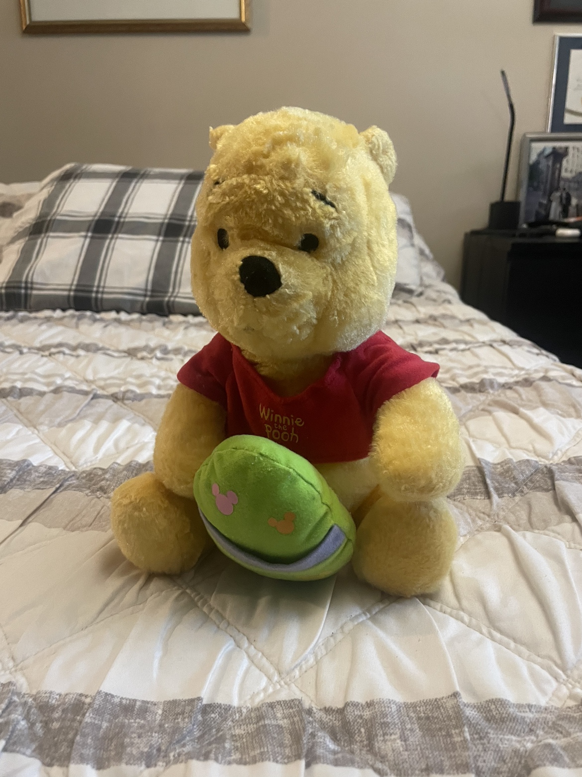Winnie the Pooh Plush