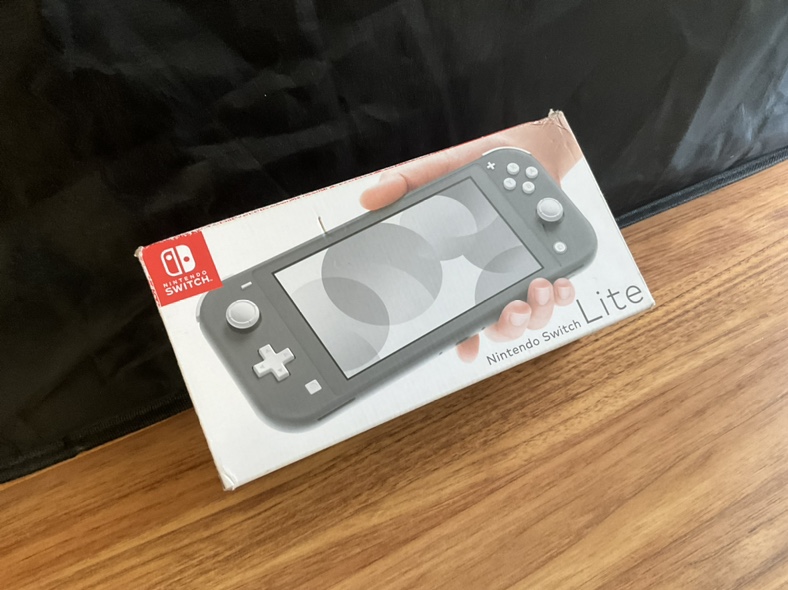 Nintendo Switch Lite image indicator(2)