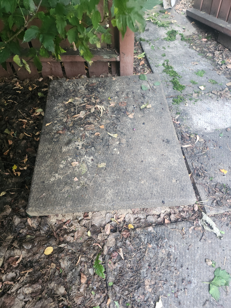 4 sidewalk .blocks 24x30 thumbnail