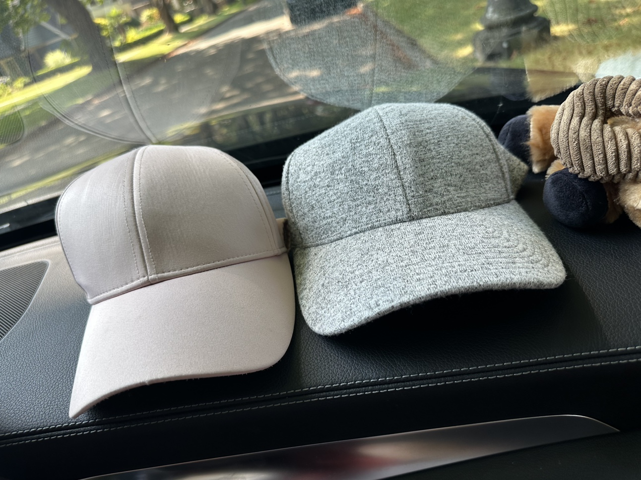 Aritzia caps thumbnail