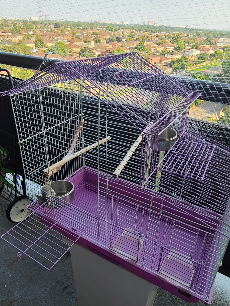 Purple and White Bird Cage image indicator(3)