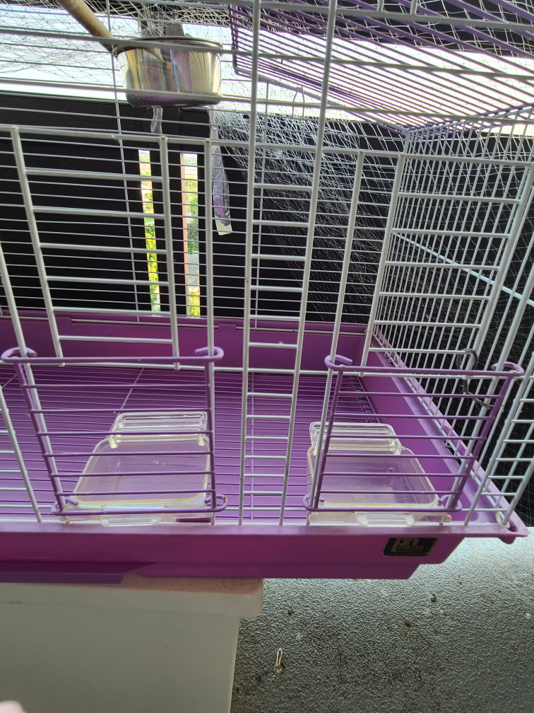 Purple and White Bird Cage image indicator(5)