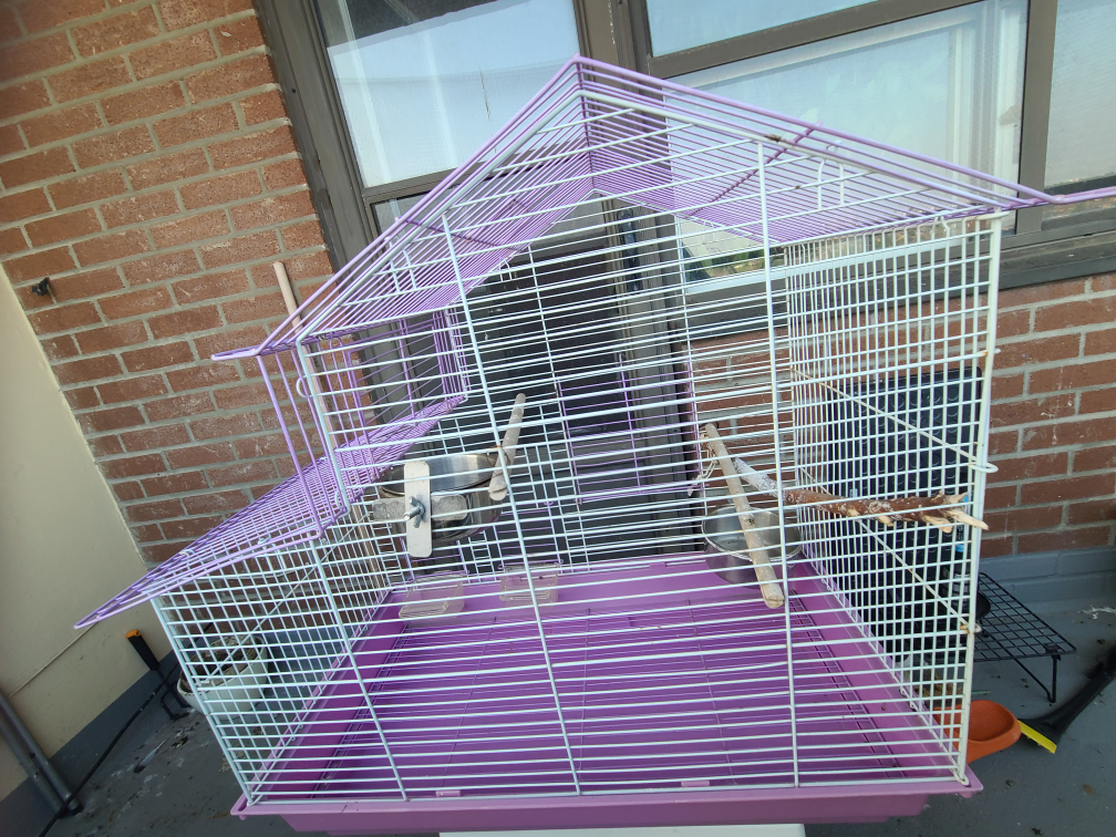 Purple and White Bird Cage image indicator(7)