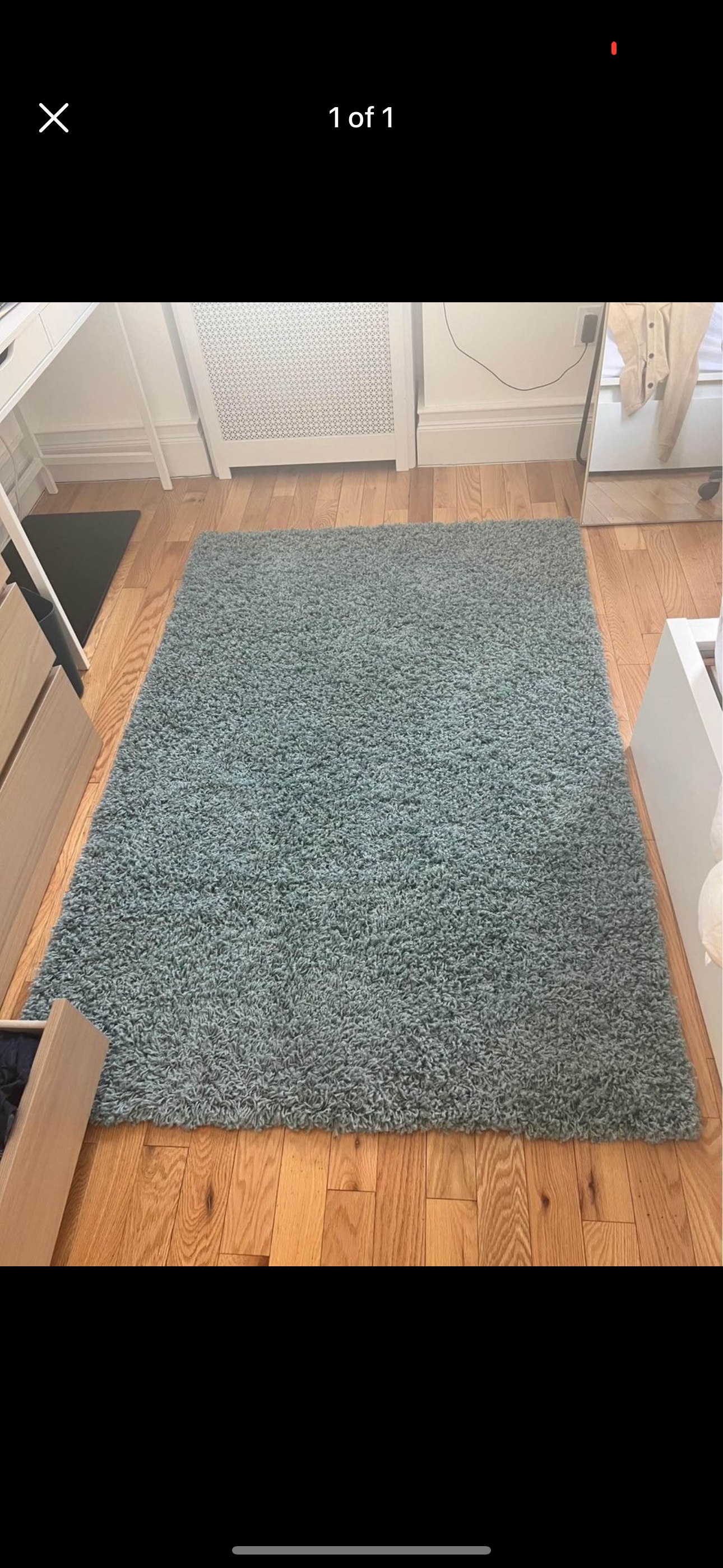 Blue Area Rug