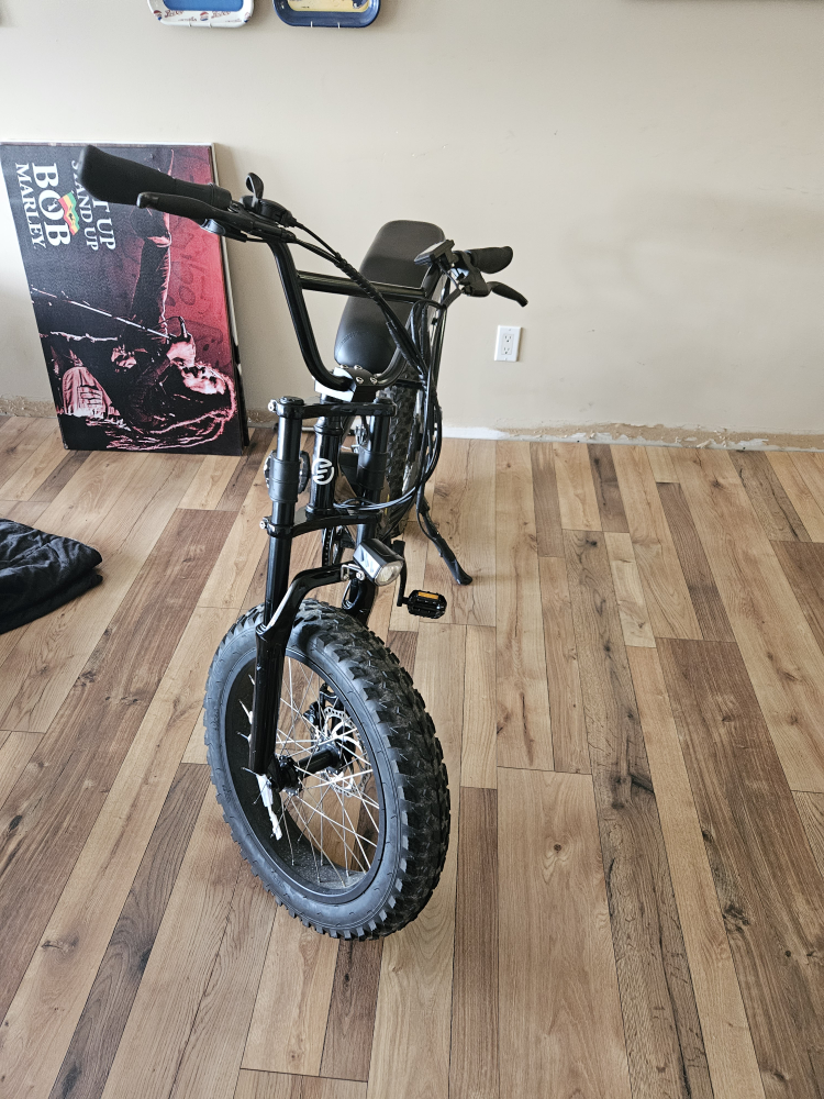 Swft e bike - photo 2