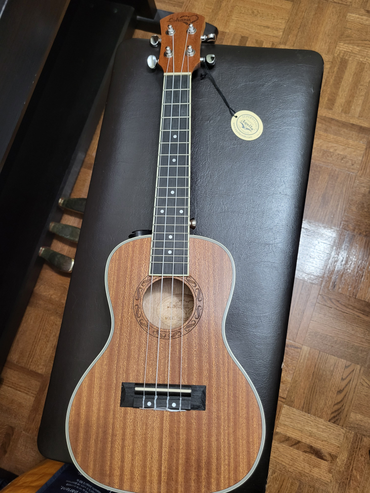 Ukelele image indicator(2)