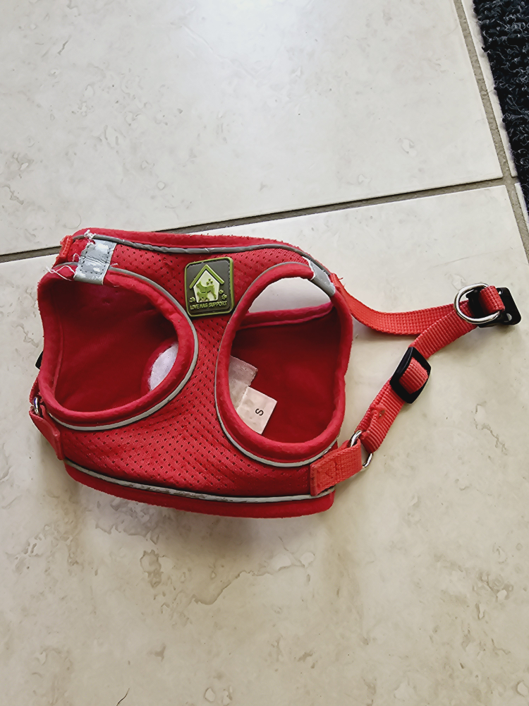 dog harness Small breed dog or for puppies. thumbnail