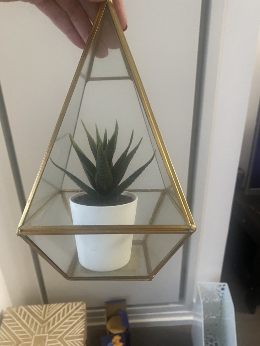 Bundle of home decor items image indicator(7)