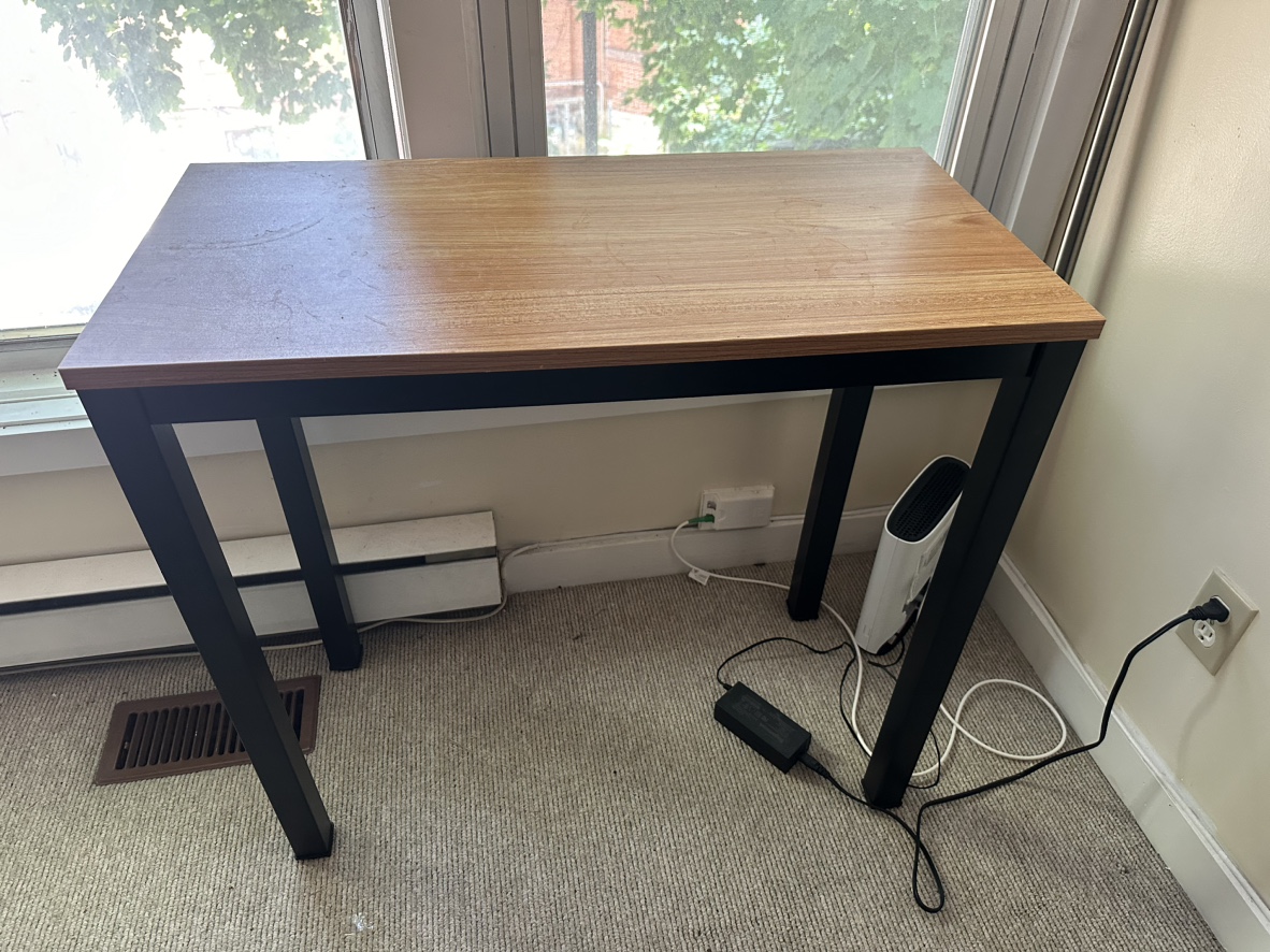 Side table (good for houseplants!)