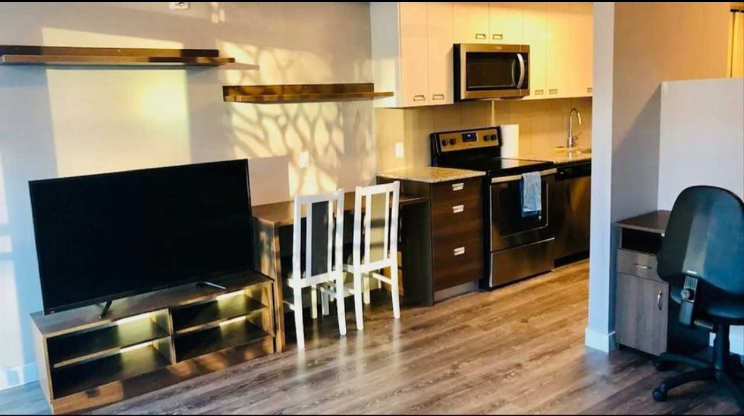 Modern 1 Bedroom Condo in Waterloo - photo 2