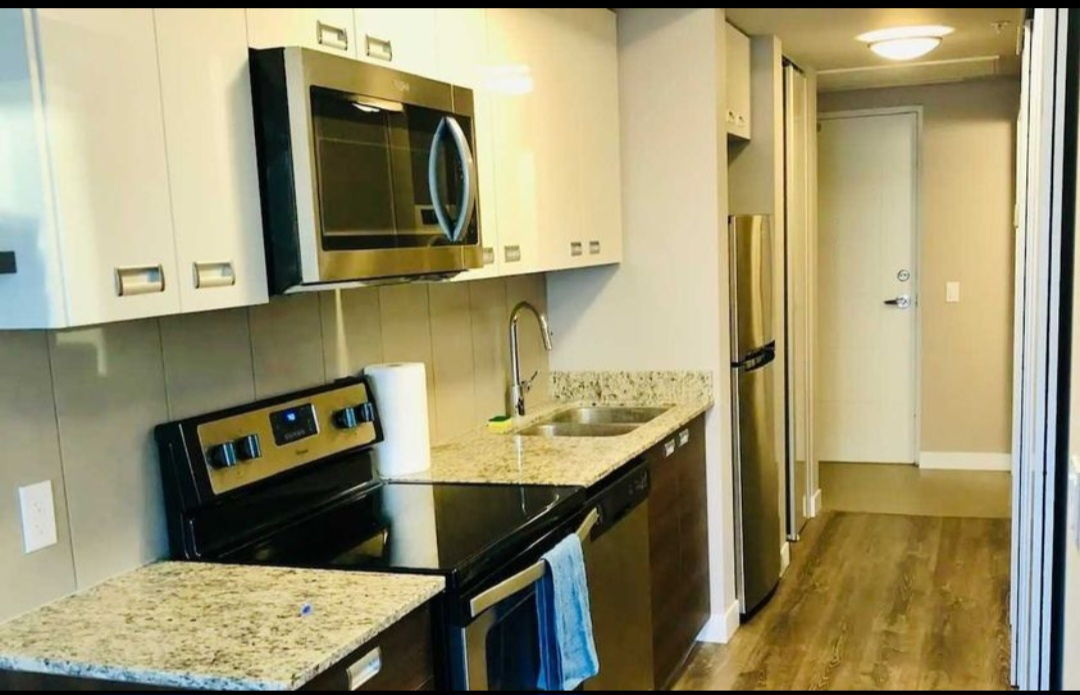 Modern 1 Bedroom Condo in Waterloo - photo 3