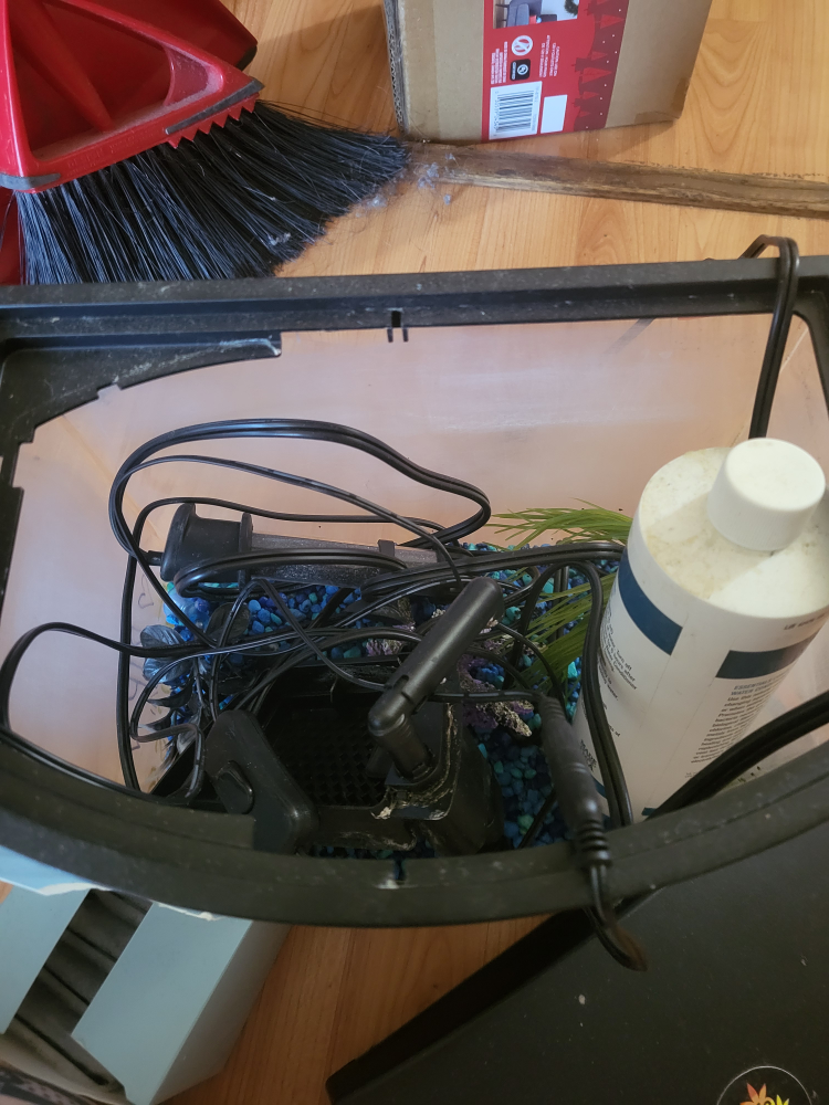 Bowed front fish tank - photo 2