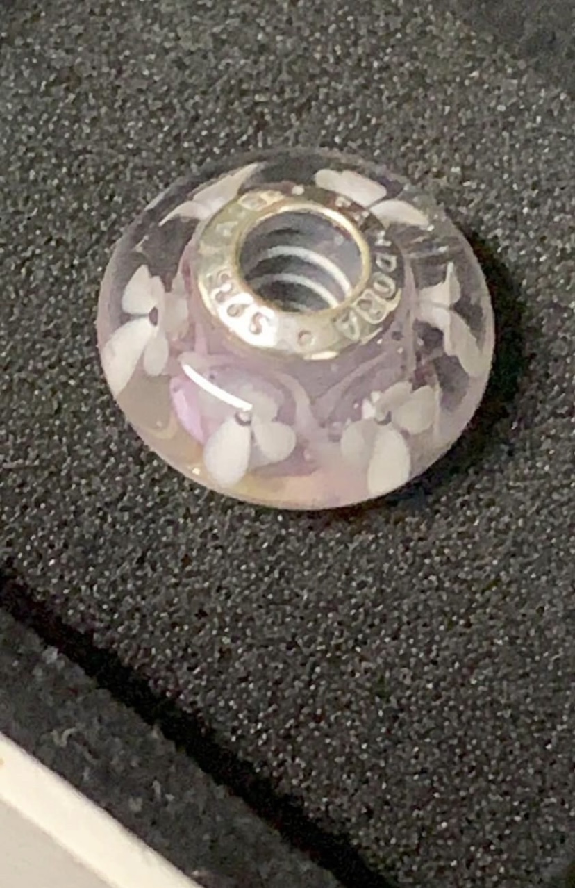 Pandora Charms . Jewelry. sterling silver image indicator(5)