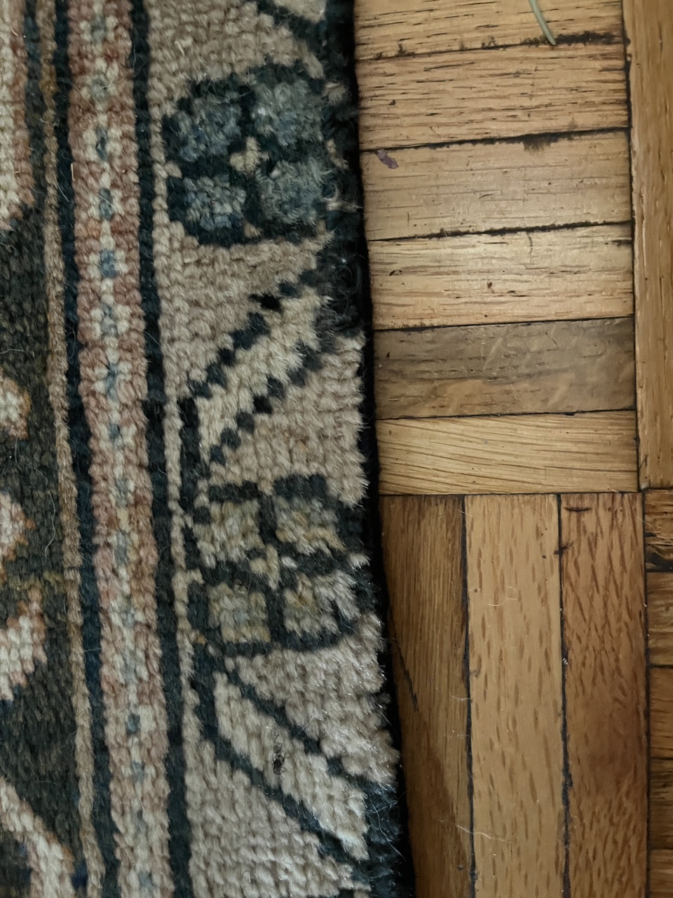 vintage persian rug image indicator(3)