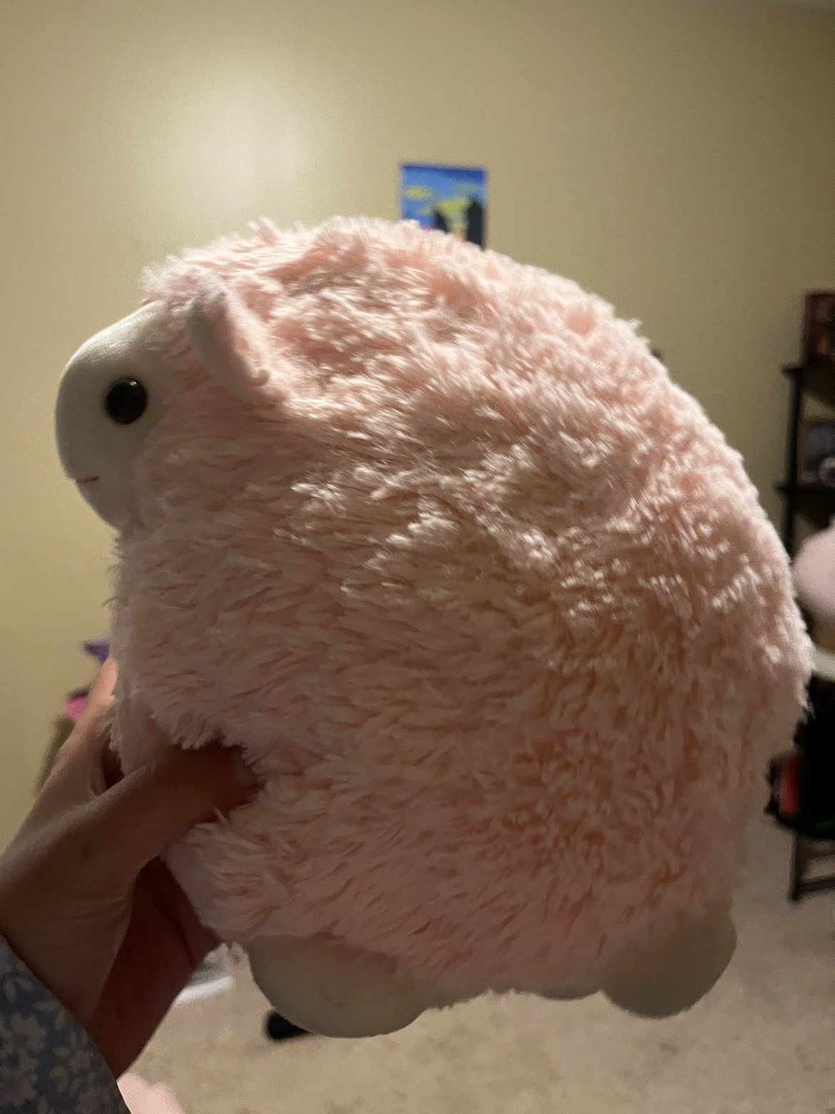 Soft toys #freecycle - photo 3