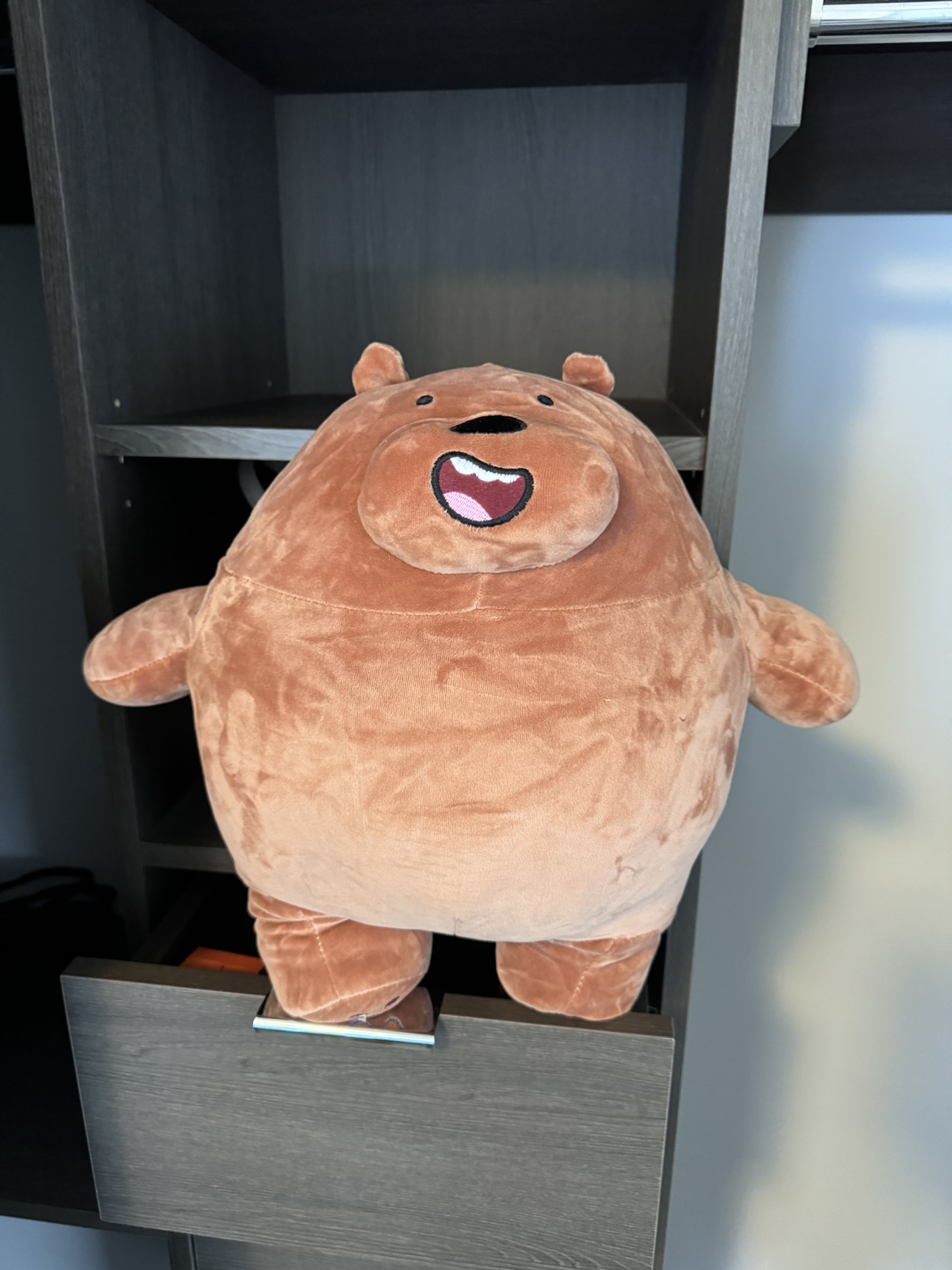 brown bear plush